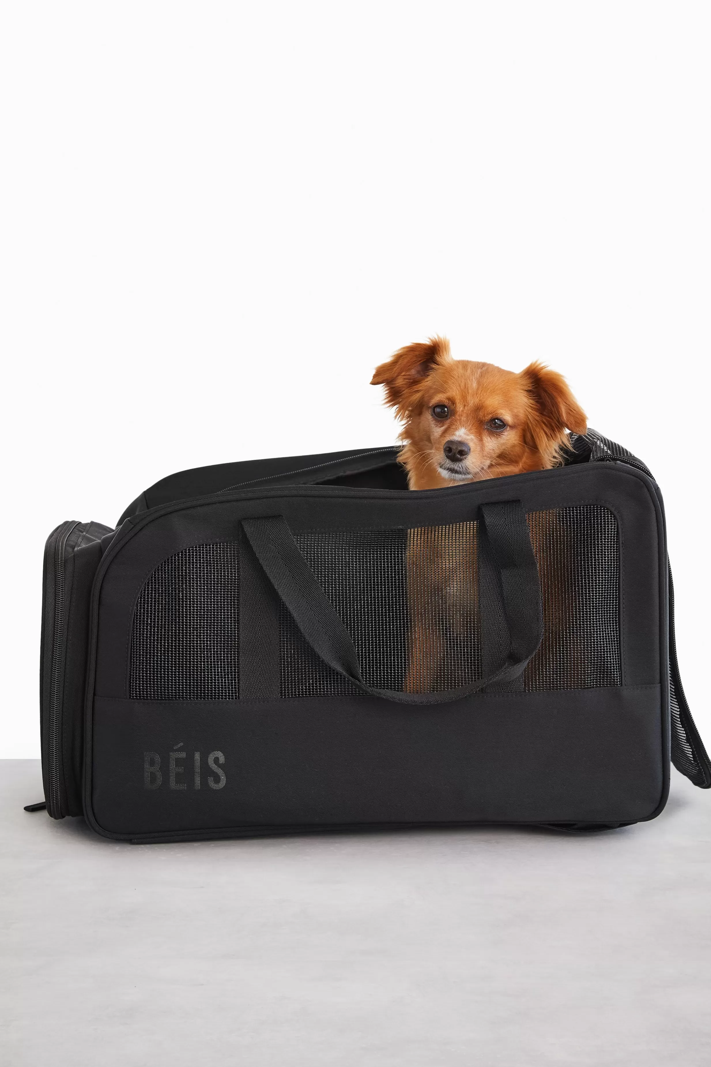 Fashion The Regulation Pet Carry-On In Black Pet Travel Bags